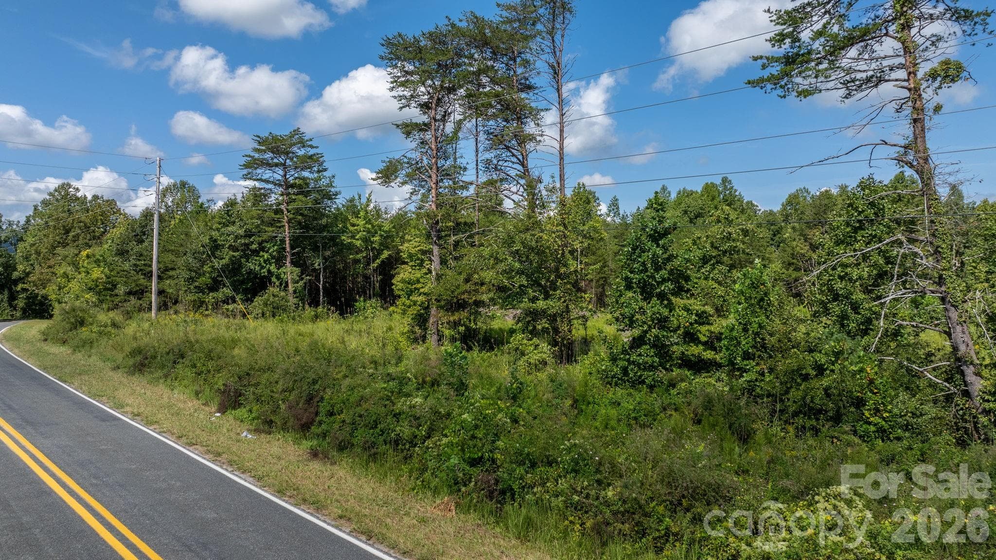 Acreage at 817 Drucilla Church Road, Nebo, photo 34 of 40