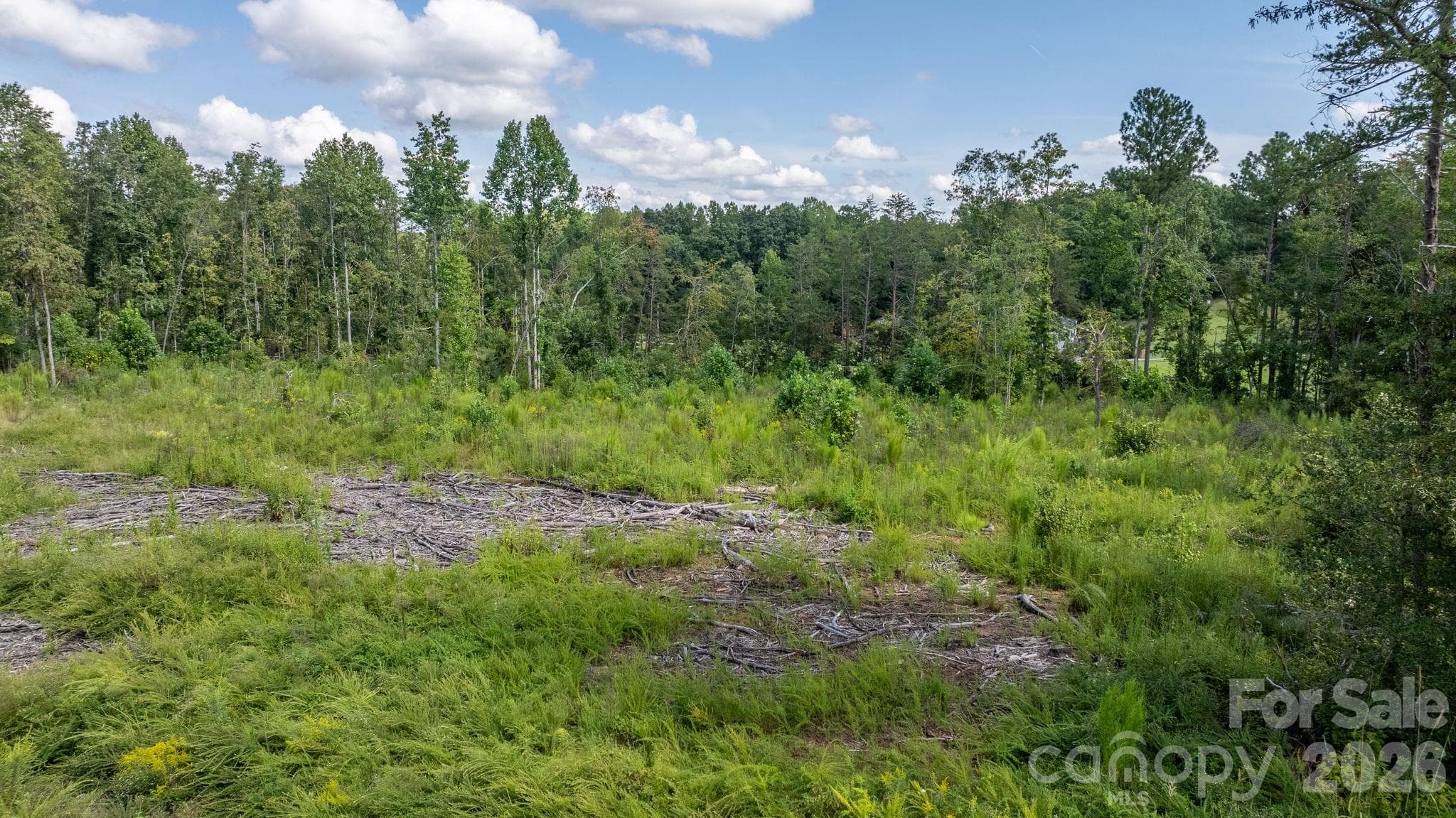 Acreage at 817 Drucilla Church Road, Nebo, photo 39 of 40