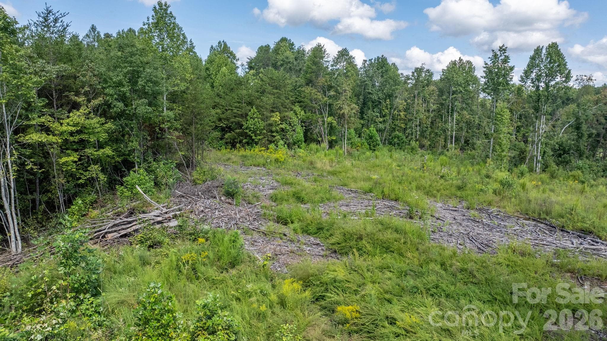 Acreage at 817 Drucilla Church Road, Nebo, photo 40 of 40