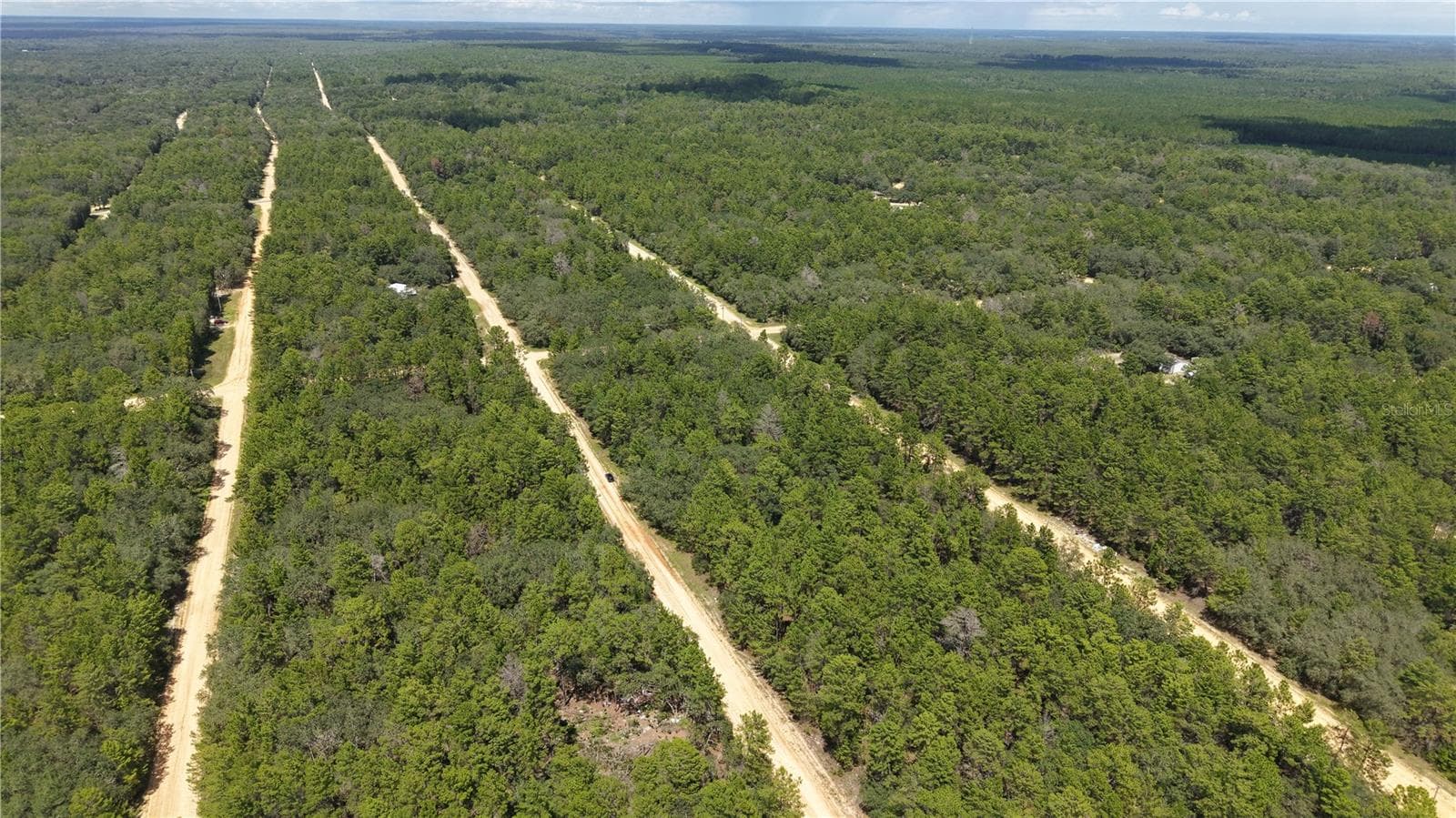 Land at NEILSEN AVE, INTERLACHEN, photo 4 of 32