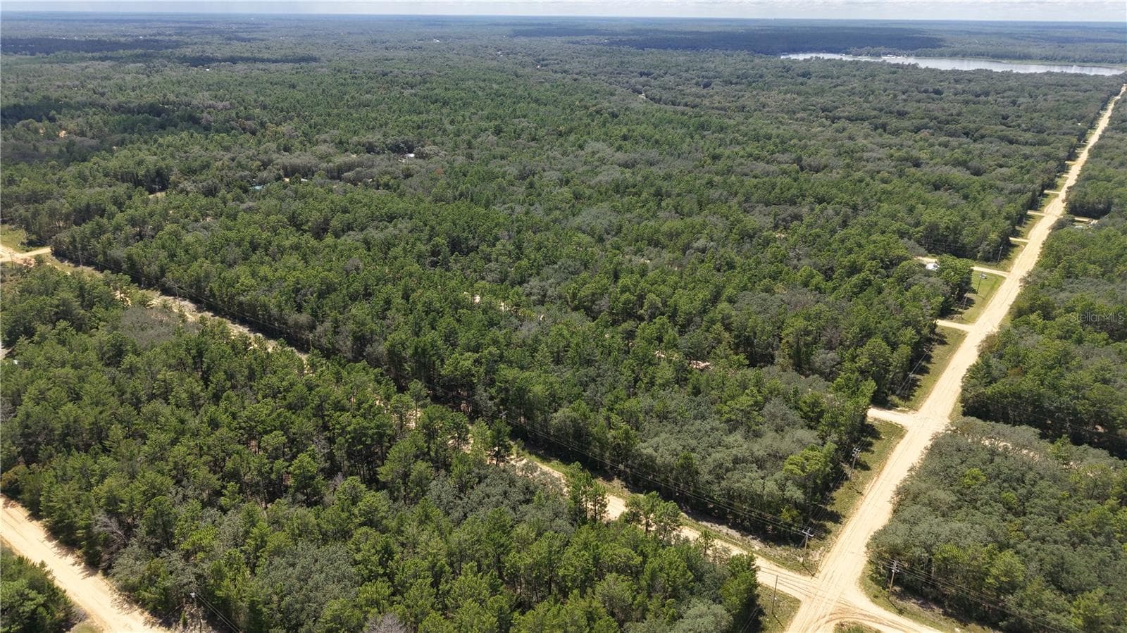 Land at NEILSEN AVE, INTERLACHEN, photo 10 of 32