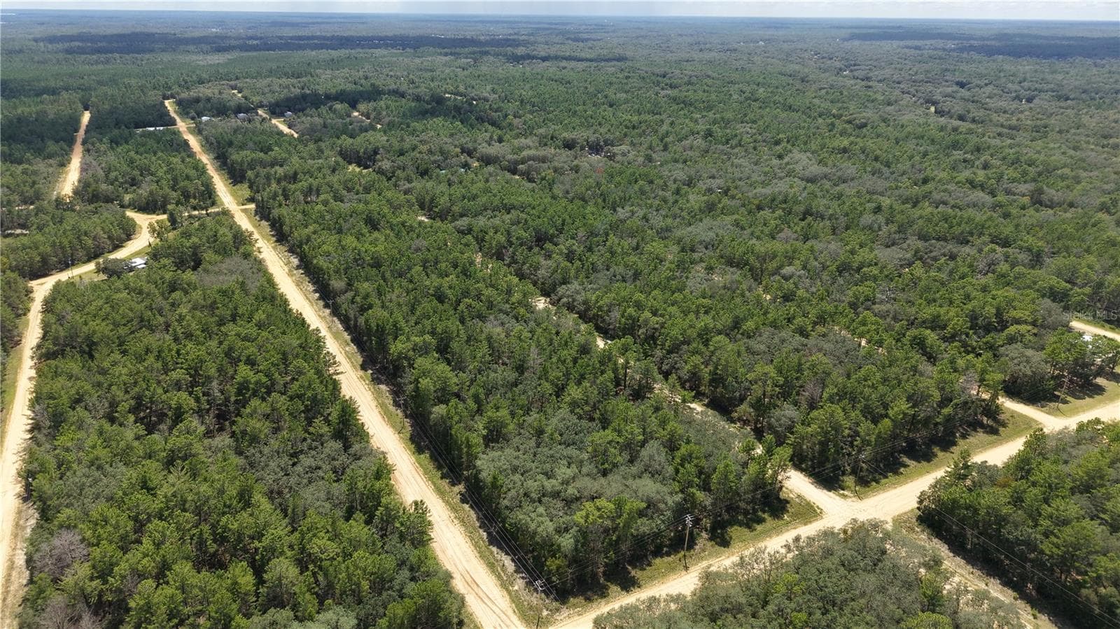 Land at NEILSEN AVE, INTERLACHEN, photo 11 of 32
