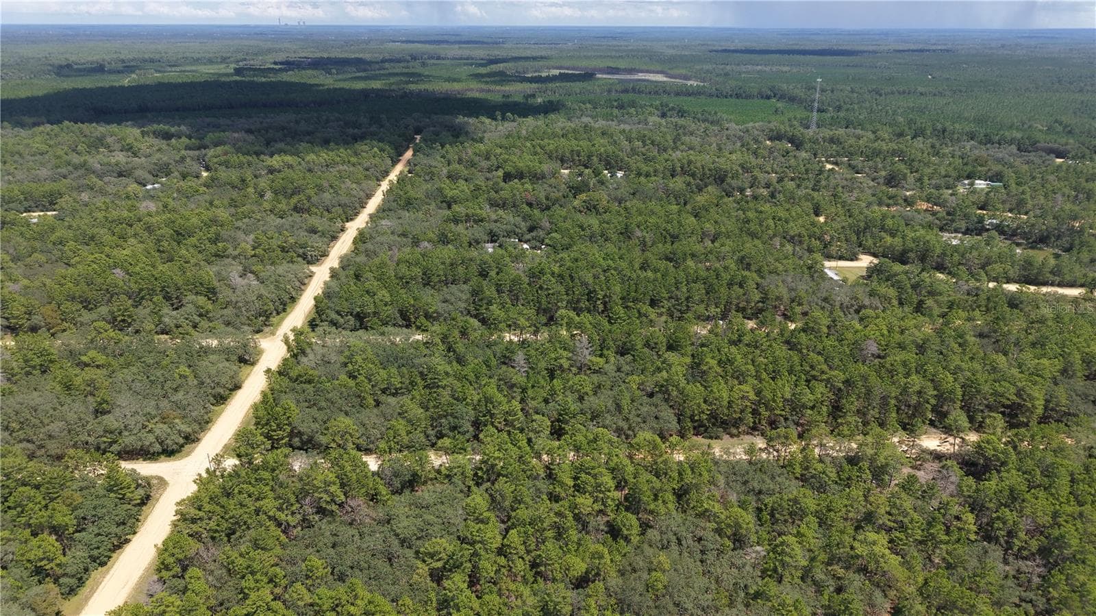 Land at NEILSEN AVE, INTERLACHEN, photo 14 of 32