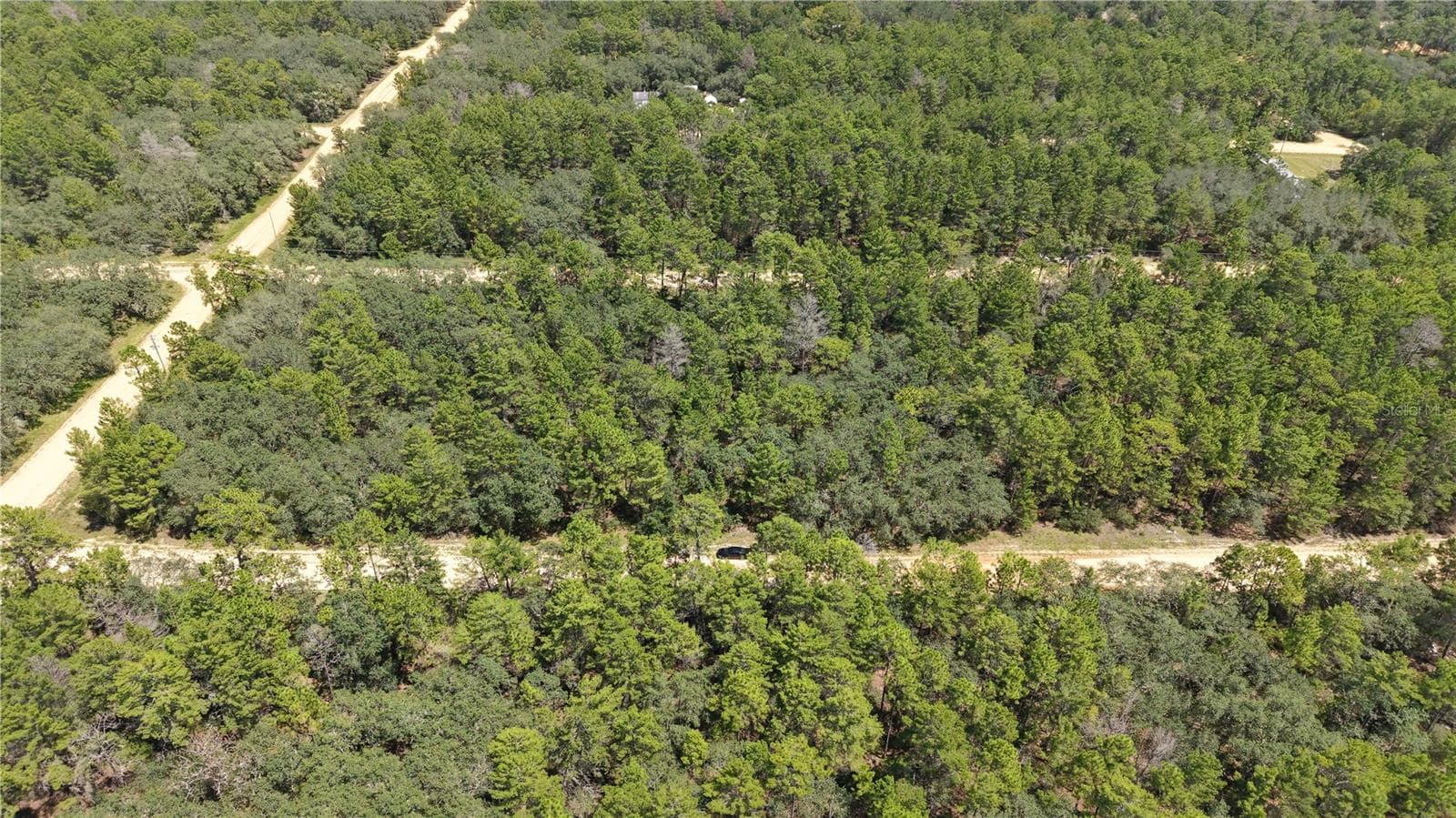 Land at NEILSEN AVE, INTERLACHEN, photo 16 of 32