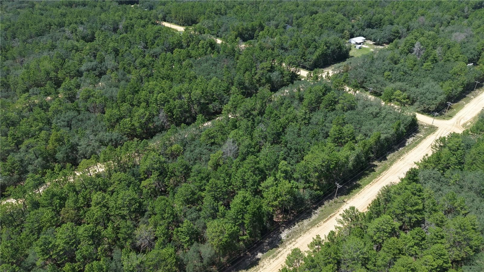 Land at NEILSEN AVE, INTERLACHEN, photo 19 of 32
