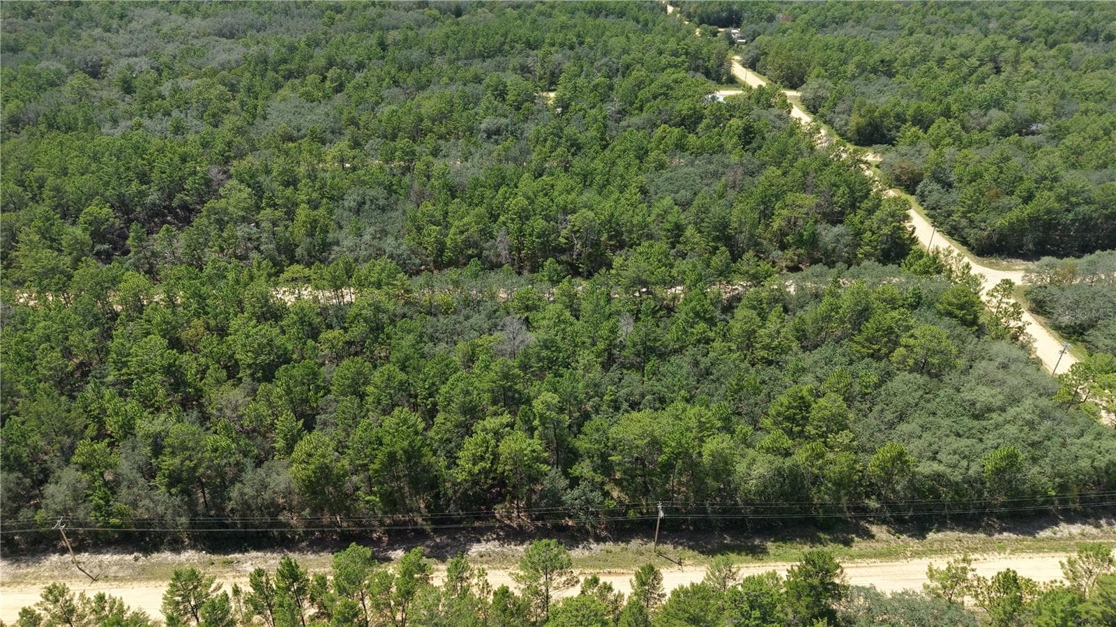Land at NEILSEN AVE, INTERLACHEN, photo 20 of 32