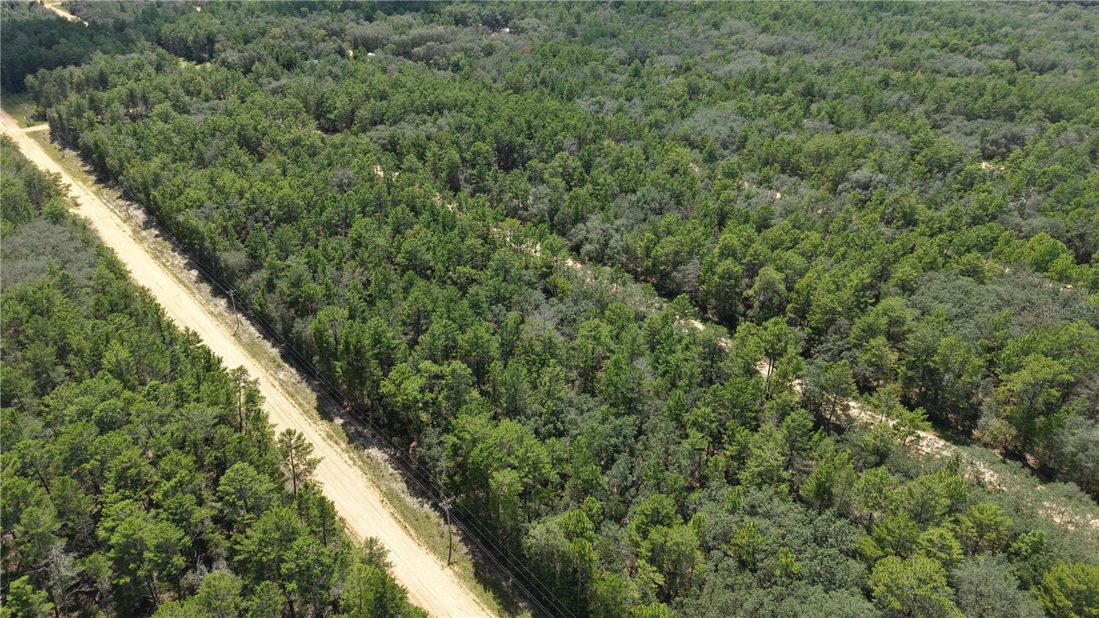 Land at NEILSEN AVE, INTERLACHEN, photo 21 of 32