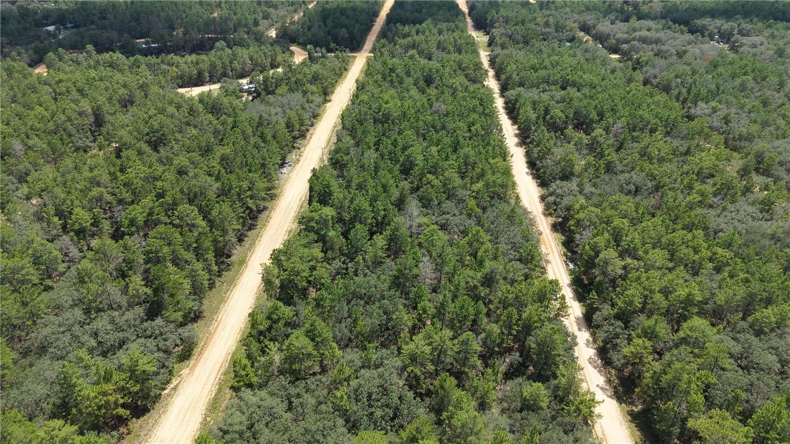 Land at NEILSEN AVE, INTERLACHEN, photo 22 of 32