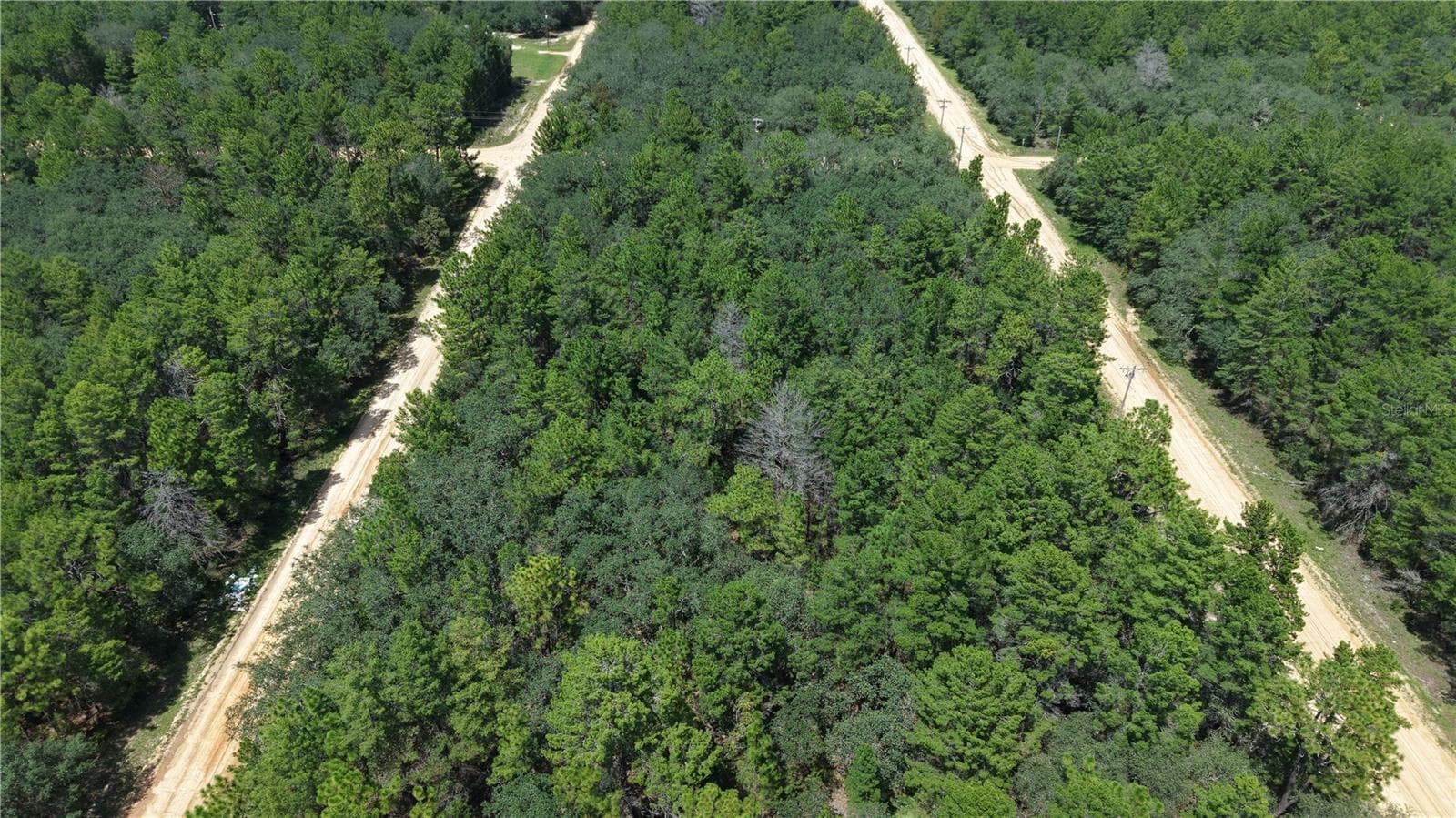 Land at NEILSEN AVE, INTERLACHEN, photo 28 of 32