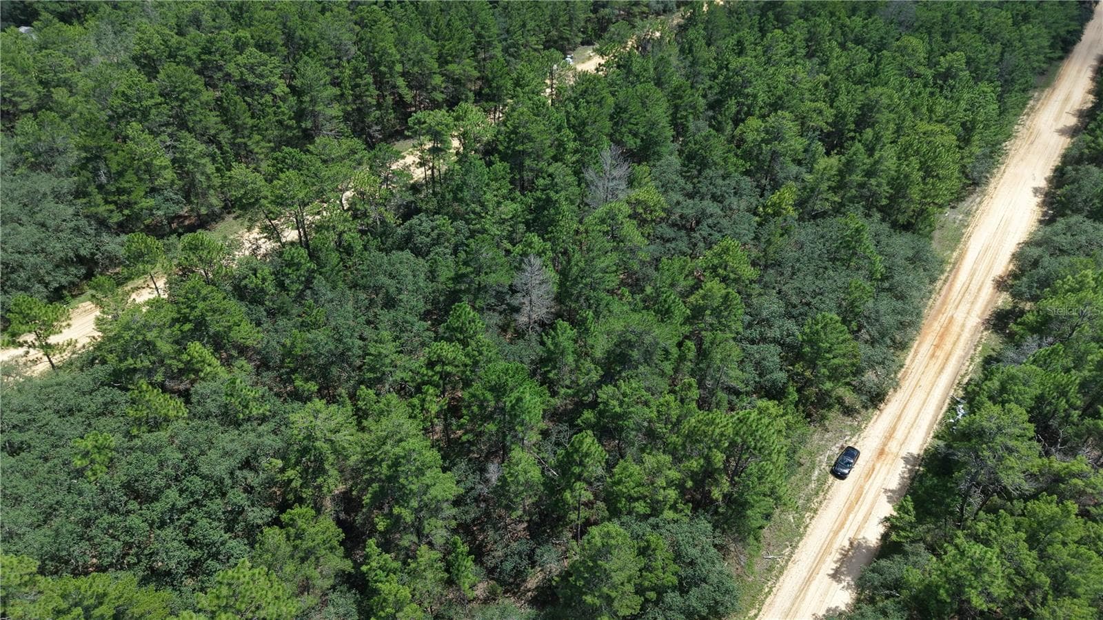 Land at NEILSEN AVE, INTERLACHEN, photo 32 of 32