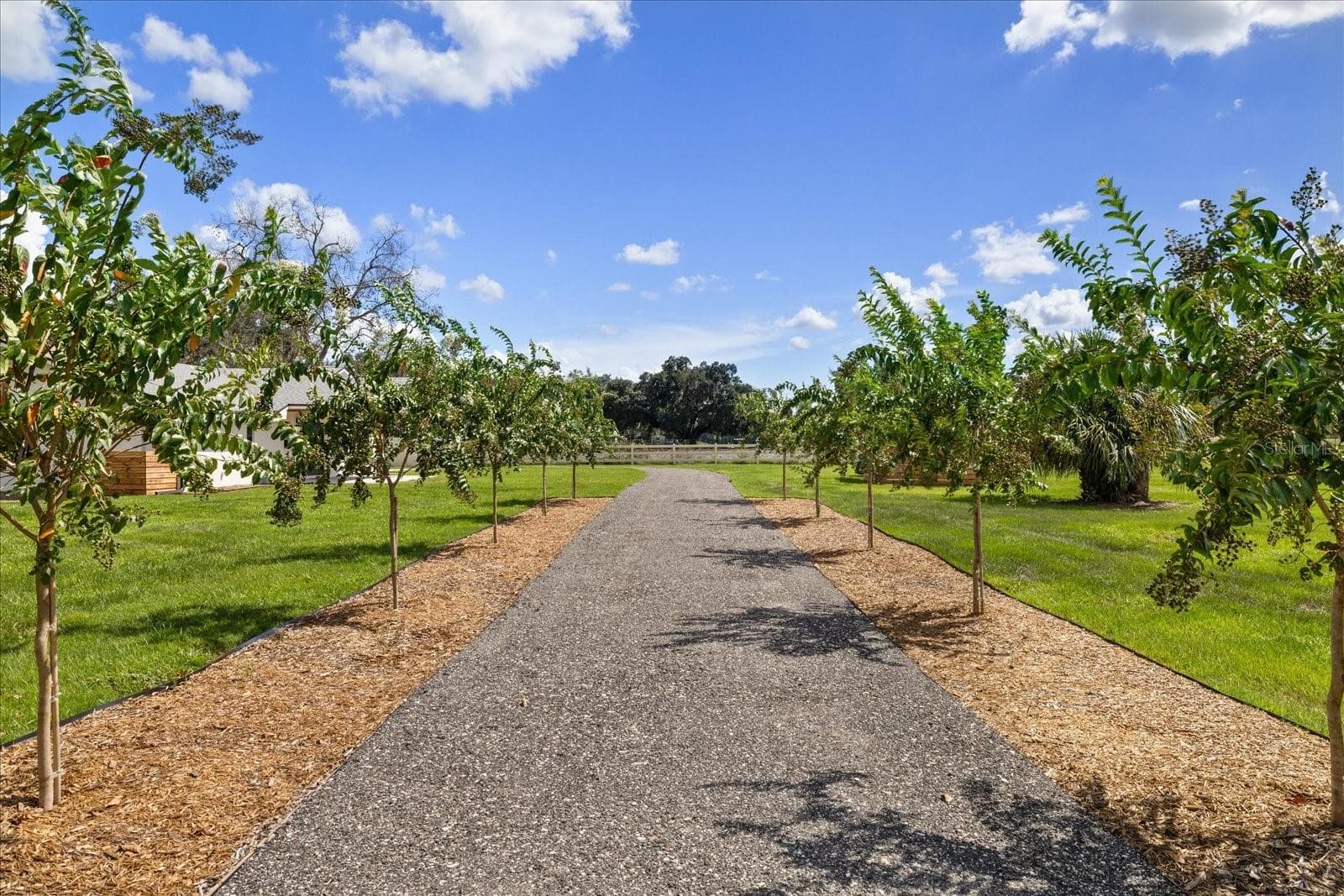 Single Family Residence at 2515 RAGINS LN, PLANT CITY, photo 11 of 66