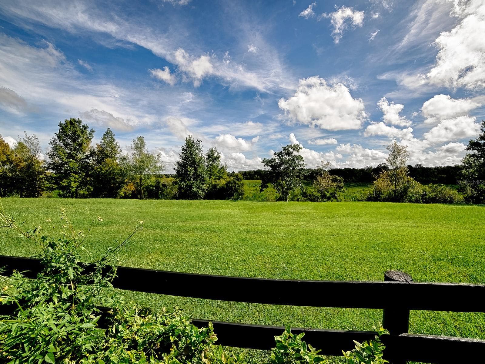 YOUR GORGEOUS PRESERVE VIEW - 1089 VANCE TRL, THE VILLAGES