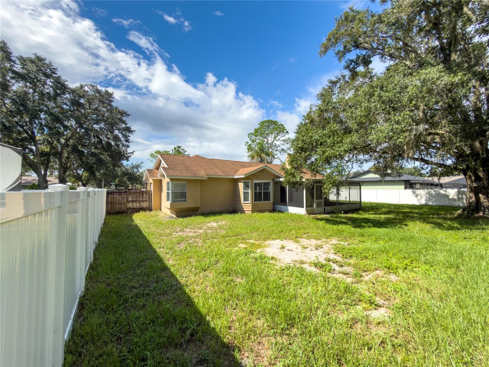 23437 Shining Star Rear Left - 23437 SHINING STAR DR, LAND O LAKES