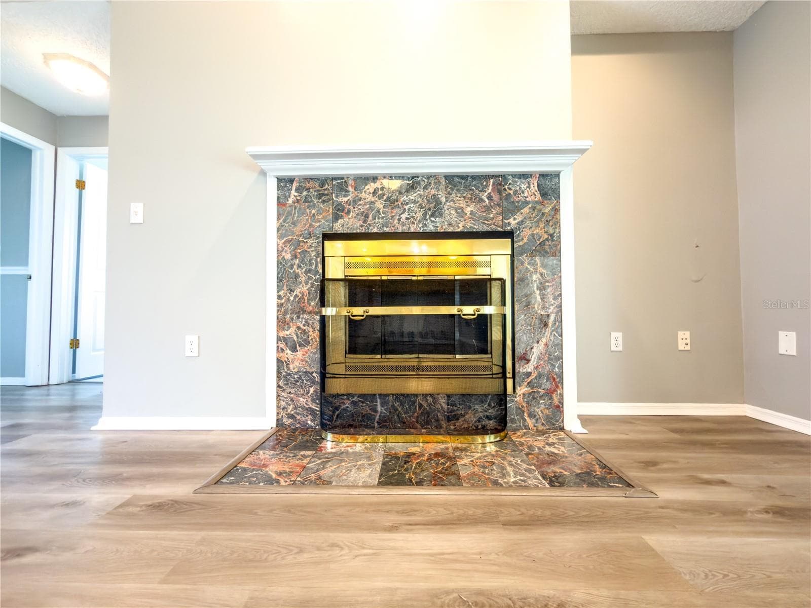 Fireplace - 23437 SHINING STAR DR, LAND O LAKES