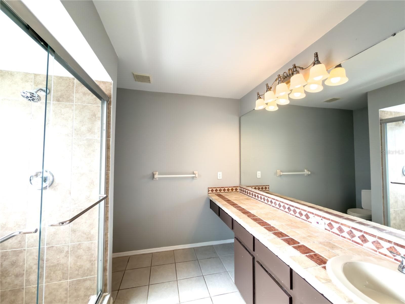 Primary Bath - 23437 SHINING STAR DR, LAND O LAKES
