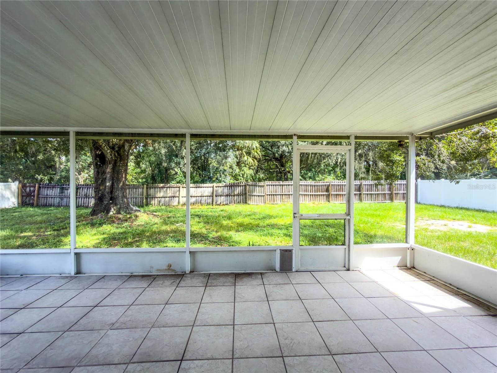 Backyard from Back Door - 23437 SHINING STAR DR, LAND O LAKES