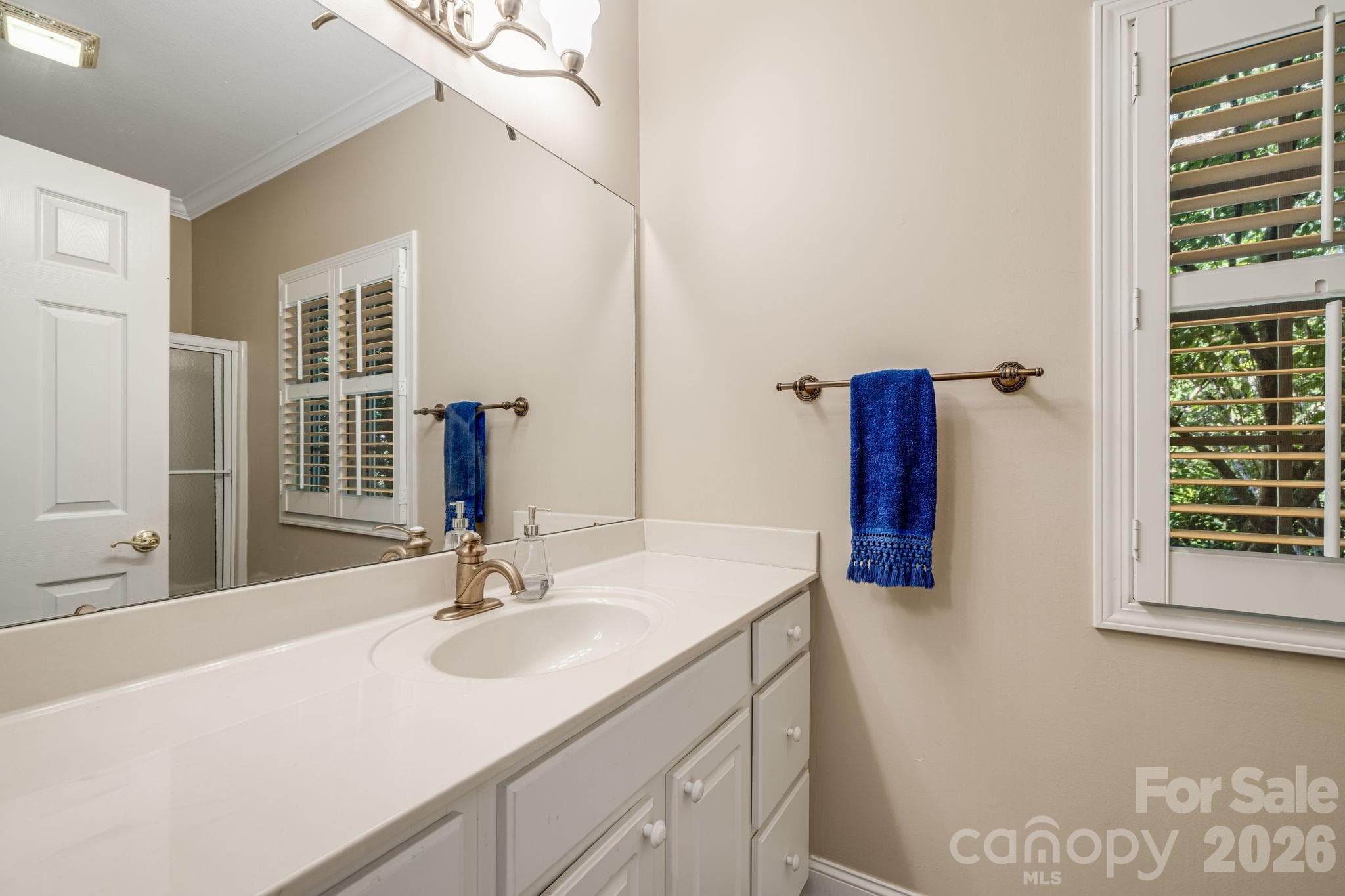 Main level guest bath vanity. - 212 Carriage Springs Way, Hendersonville