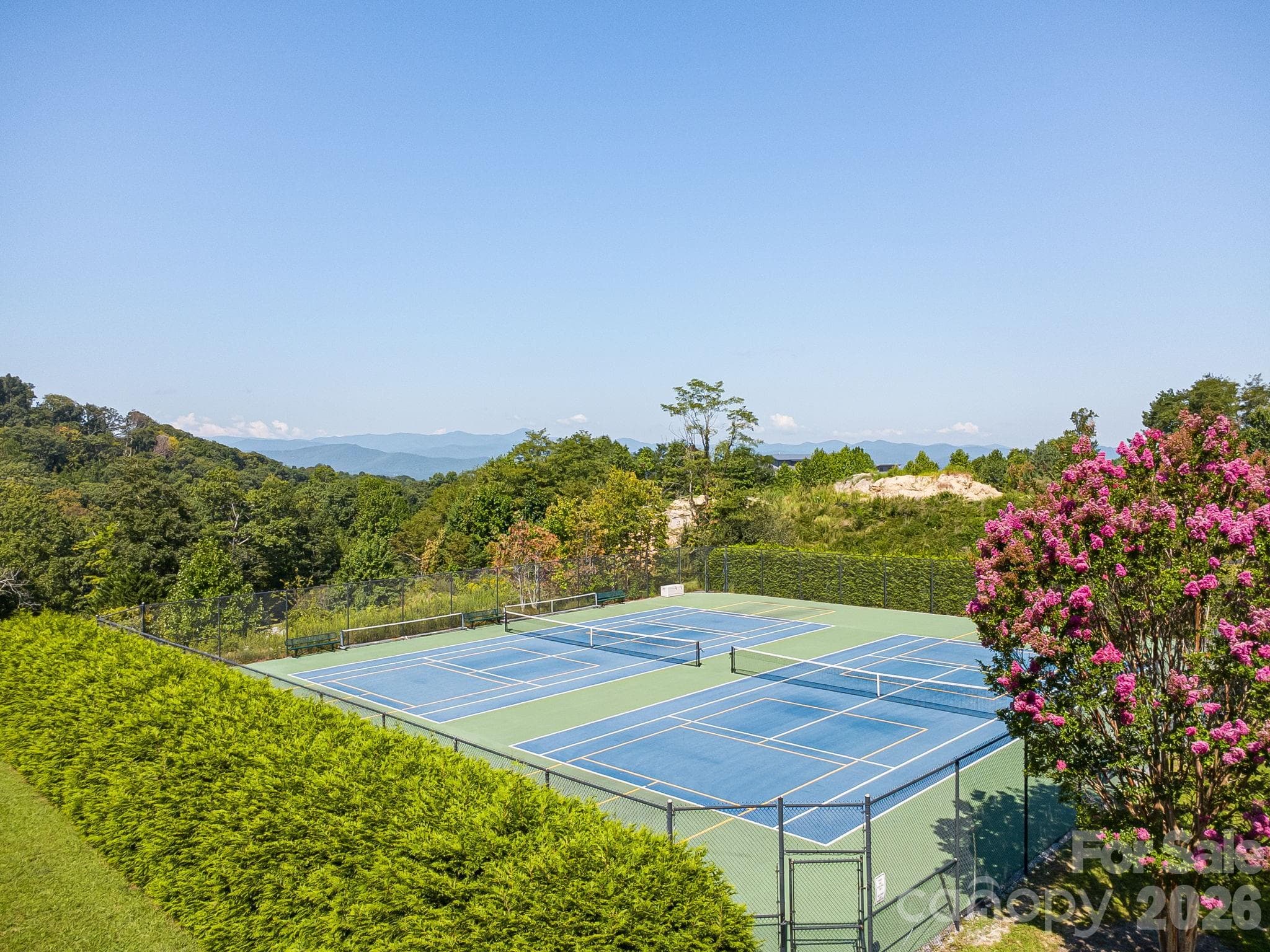 Let's don't forget the tennis and pickleball courts. - 212 Carriage Springs Way, Hendersonville
