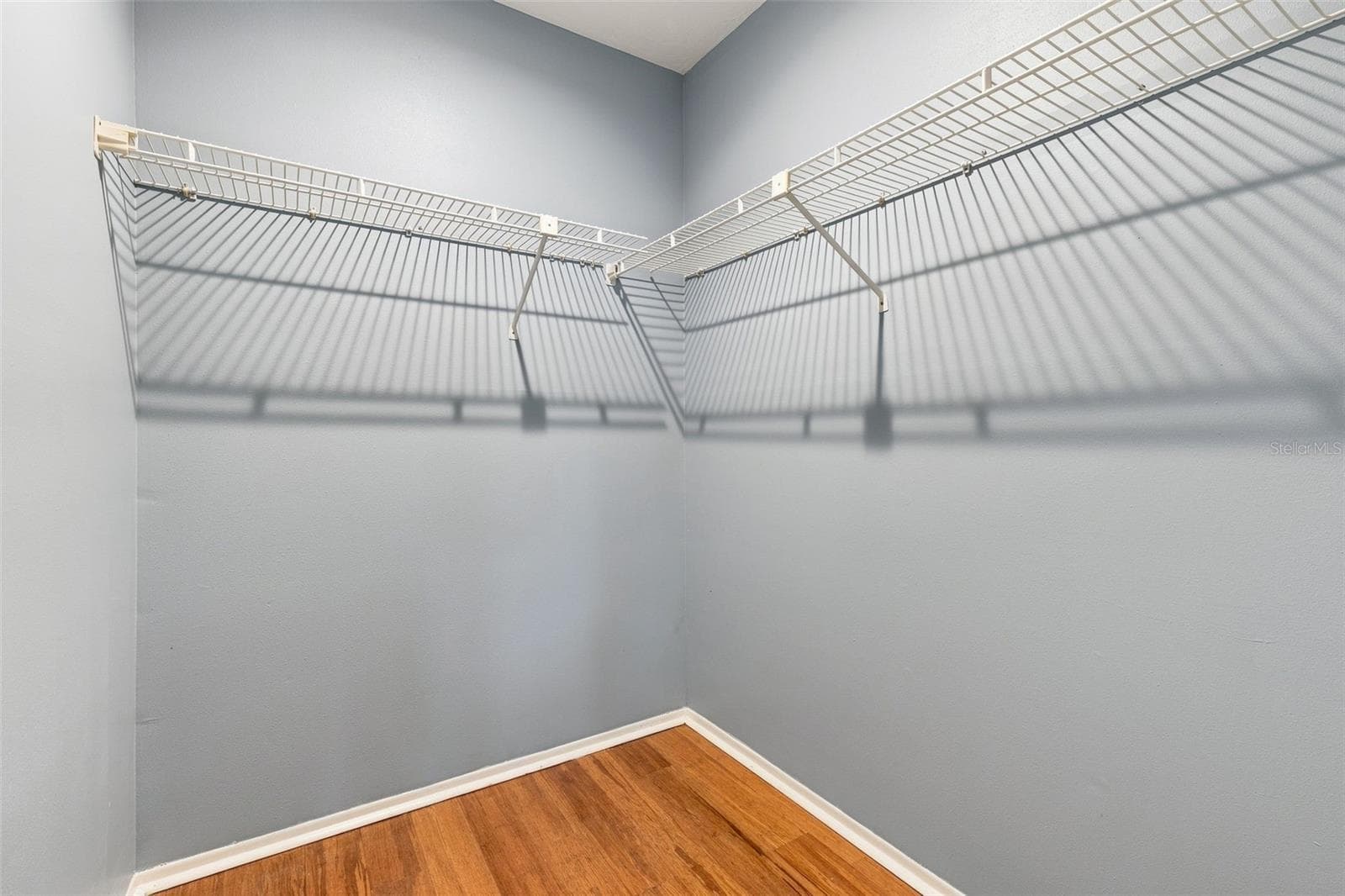 Walk in closet - 4331 SWALLOWTAIL DR, NEW PORT RICHEY
