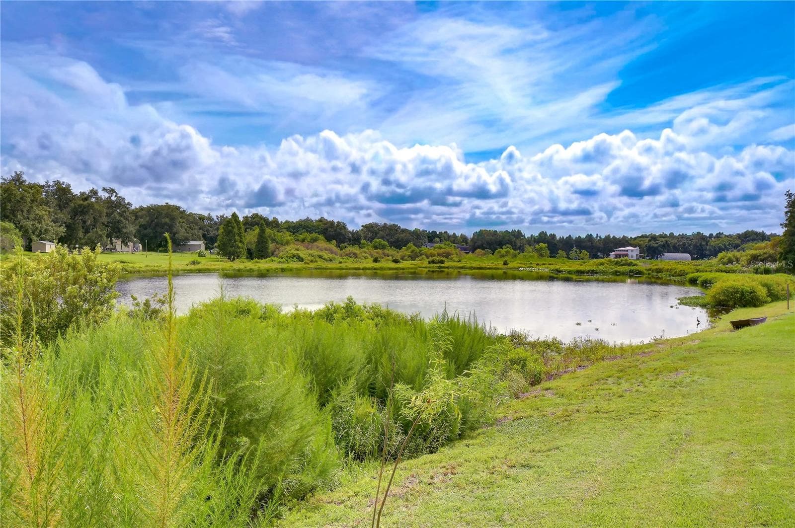 Tranquil pond creates a peaceful backdrop beyond the lanai - 659 TIMBER POND DR, BRANDON
