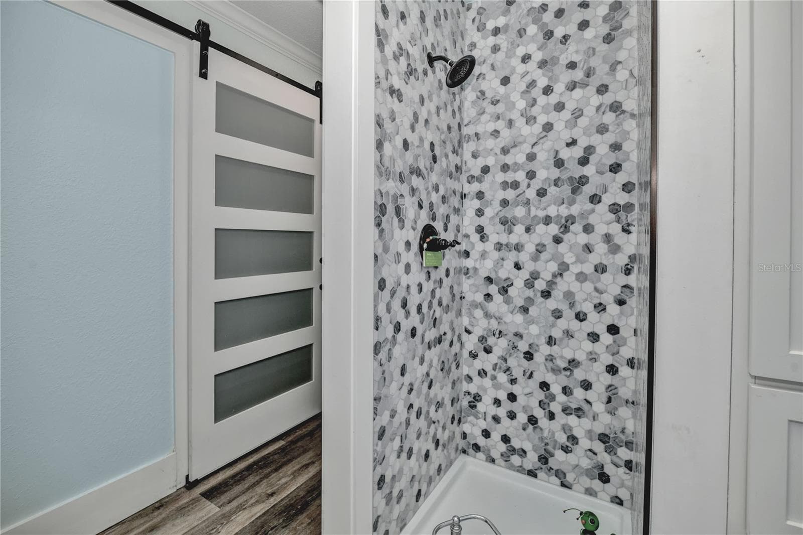 Barn doors - 10958 SW 86TH CT, OCALA