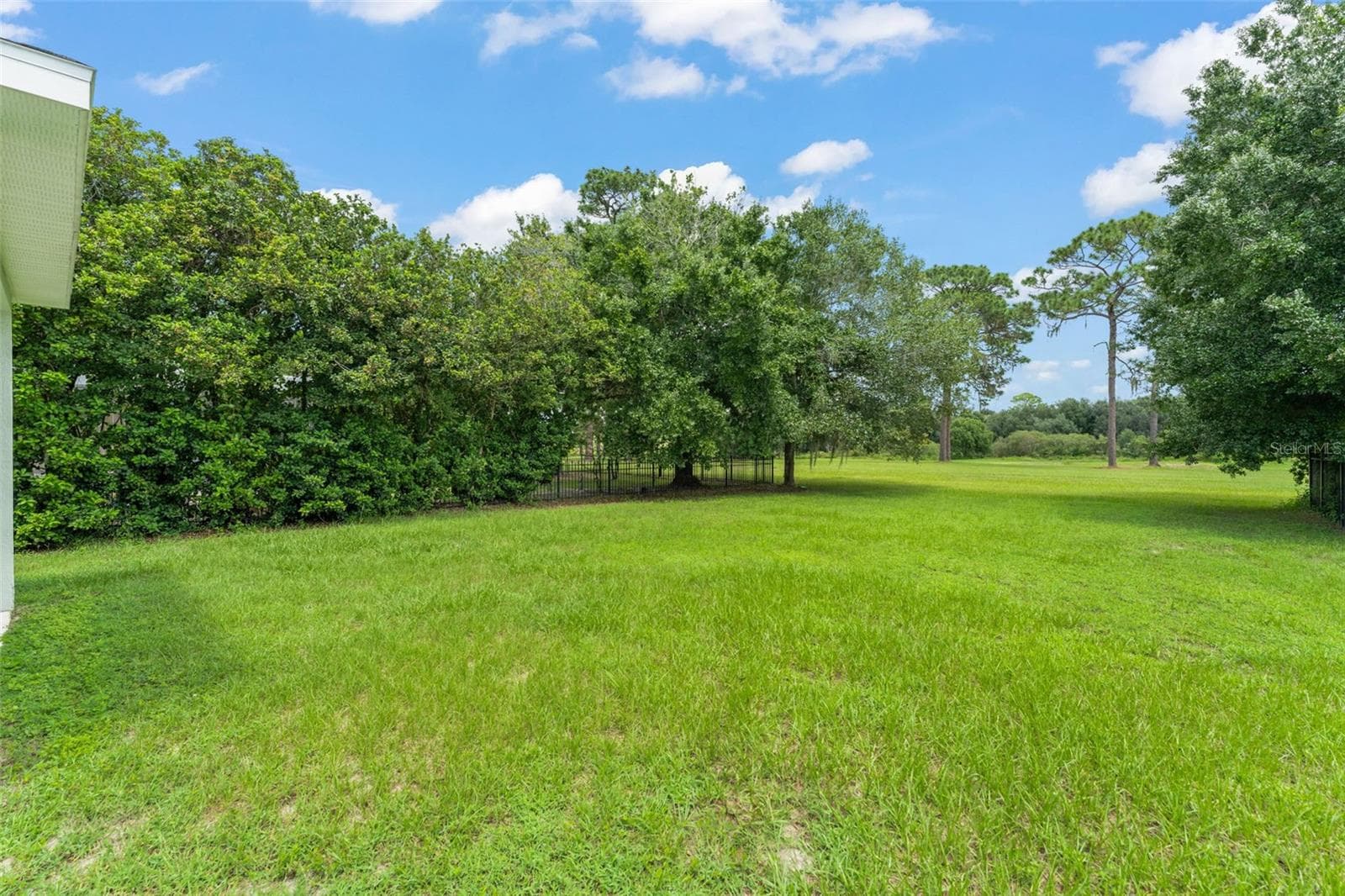 Single Family Residence at 33411 TERRAGONA DR, SORRENTO, photo 50 of 57