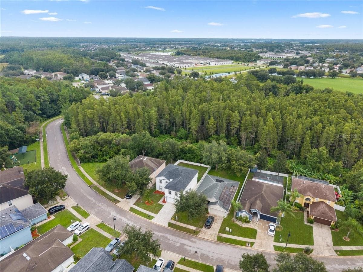 Single Family Residence at 3336 BELLERICAY LN, LAND O LAKES, photo 82 of 92