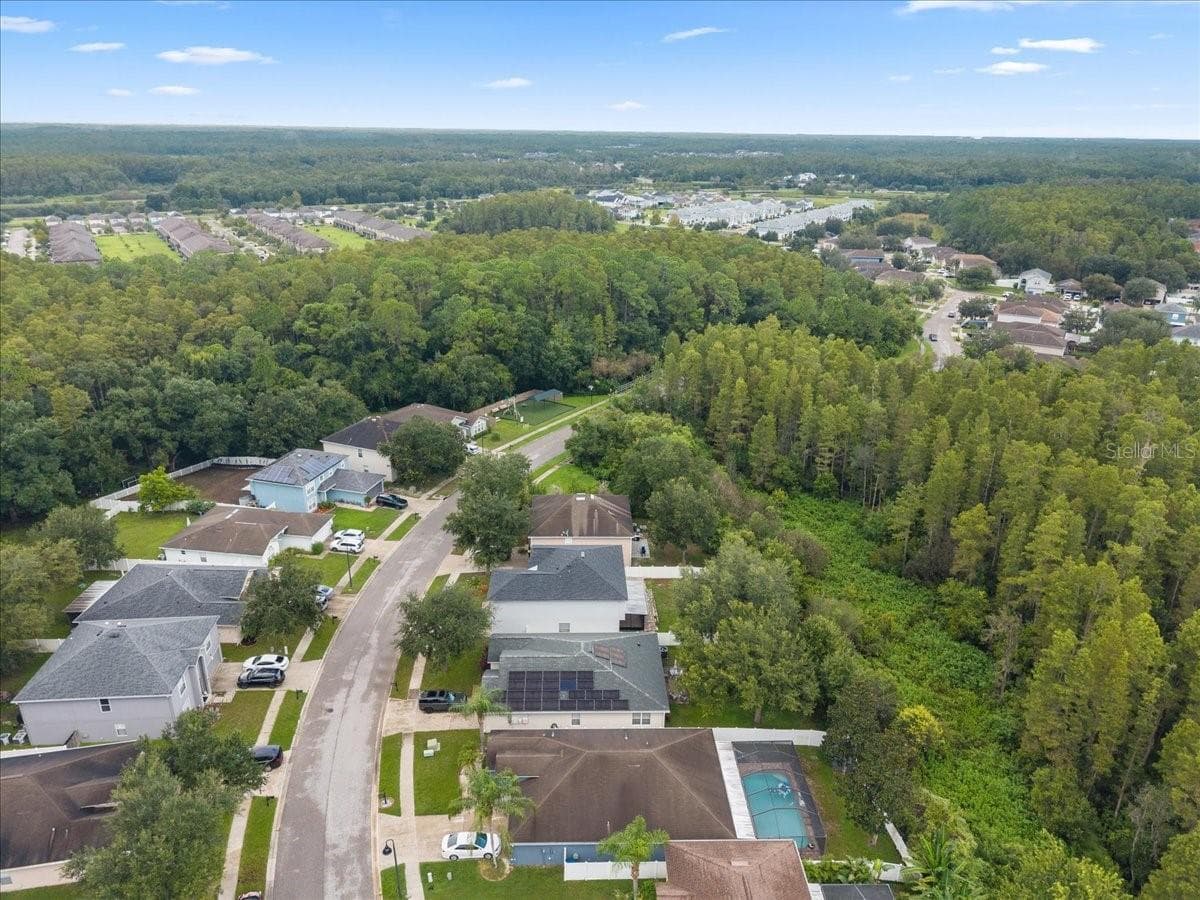 Single Family Residence at 3336 BELLERICAY LN, LAND O LAKES, photo 83 of 92