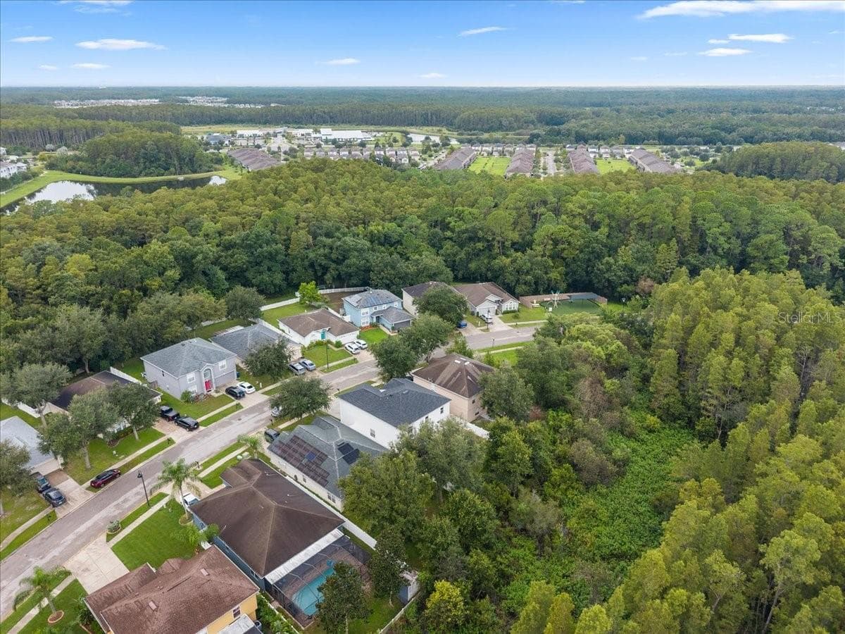 Single Family Residence at 3336 BELLERICAY LN, LAND O LAKES, photo 84 of 92