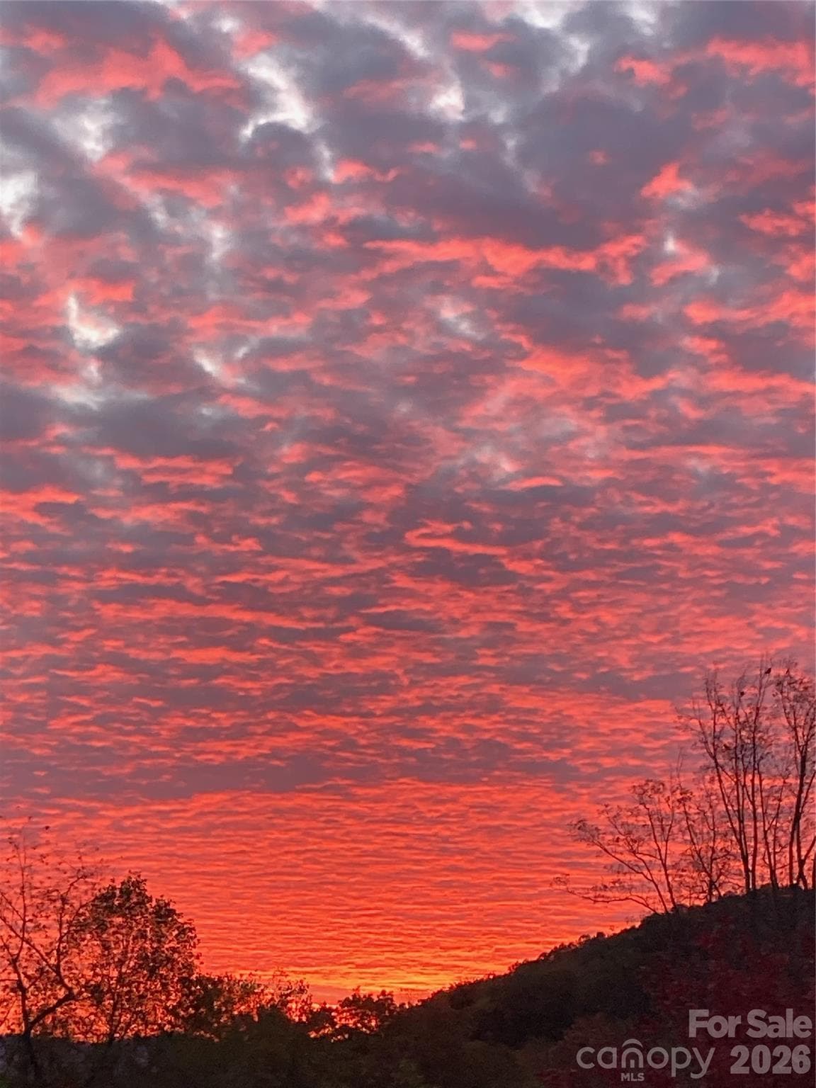 Sunrise view from the front porch - 323 Fennel Dun Circle, Biltmore Lake