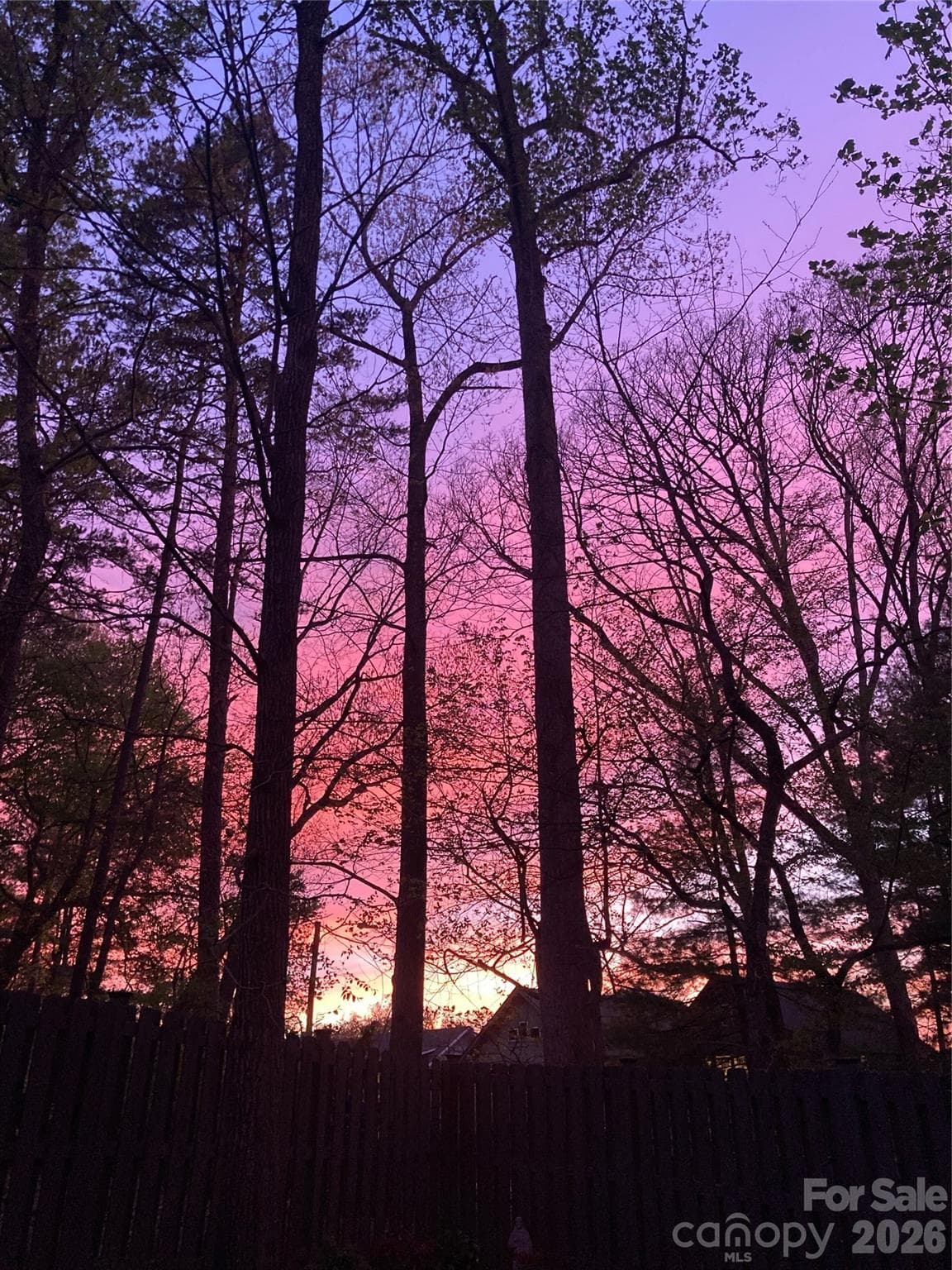 Back porch sunsets - 323 Fennel Dun Circle, Biltmore Lake