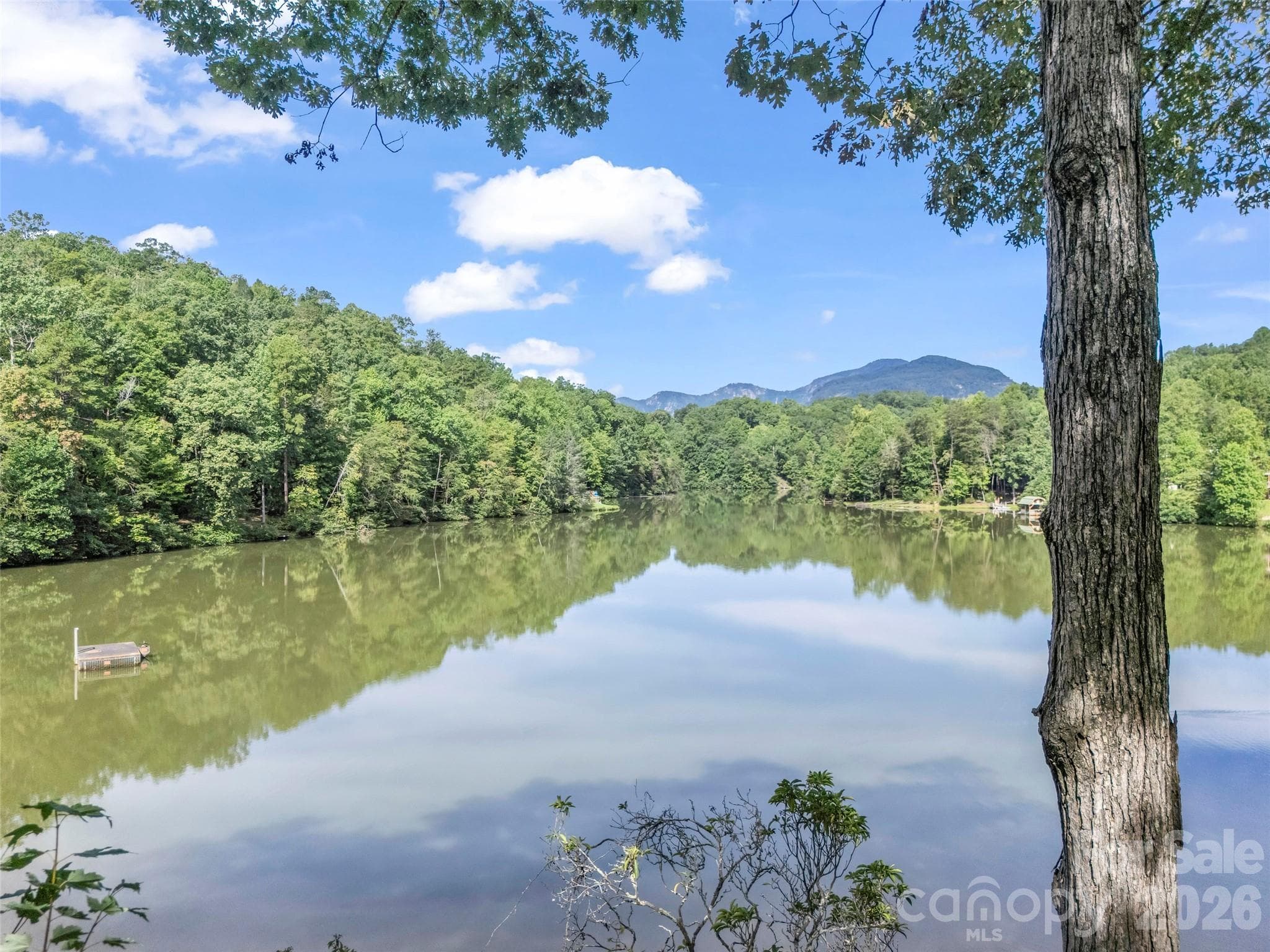 Single Family Residence at 106 Bobwhite Avenue, Lake Lure, photo 42 of 44
