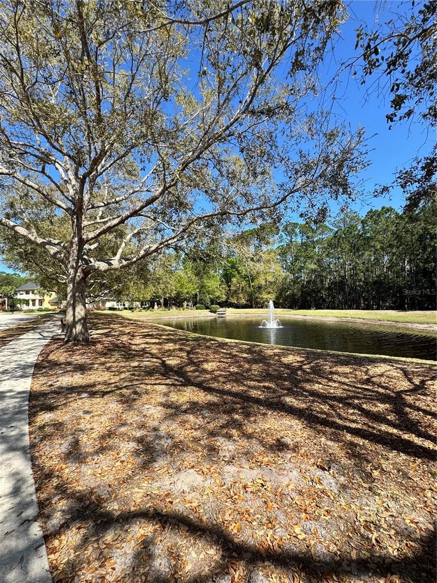 Single Family Residence at 341 CHELSEA PLACE AVE, ORMOND BEACH, photo 39 of 51