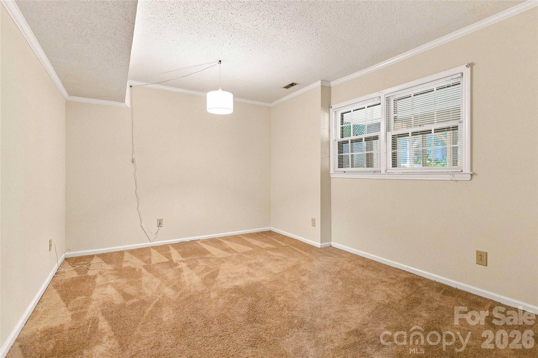 Single Family Residence at 5000 Cedar Forest Drive, Charlotte, photo 29 of 40