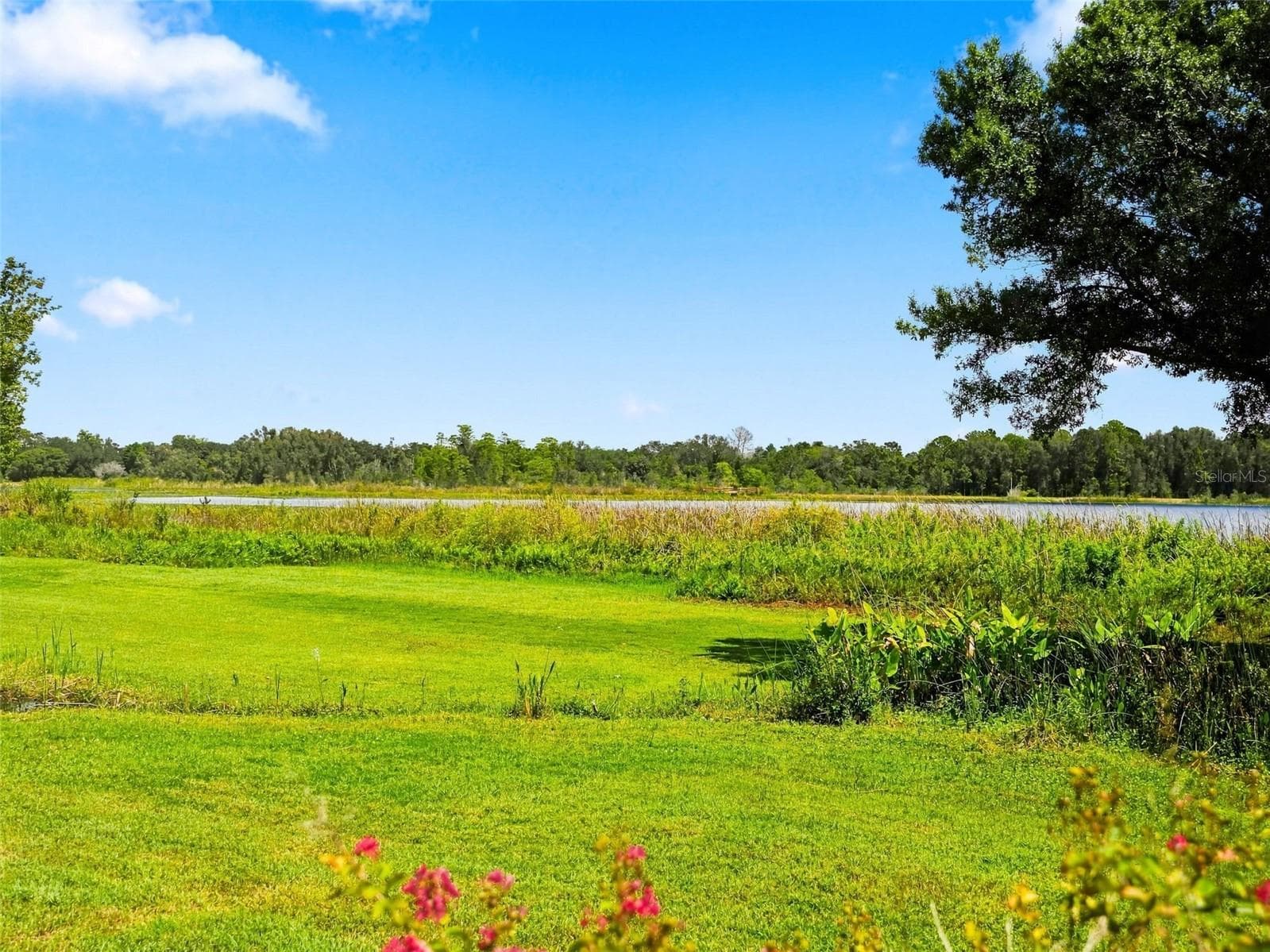 Single Family Residence at 2707 LAKEBREEZE LN S, CLEARWATER, photo 58 of 72