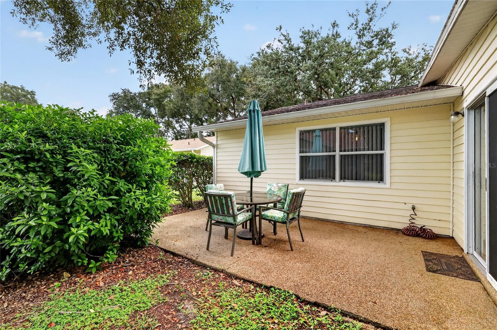 Patio view #2 - 822 DUNDEE CIR, LEESBURG
