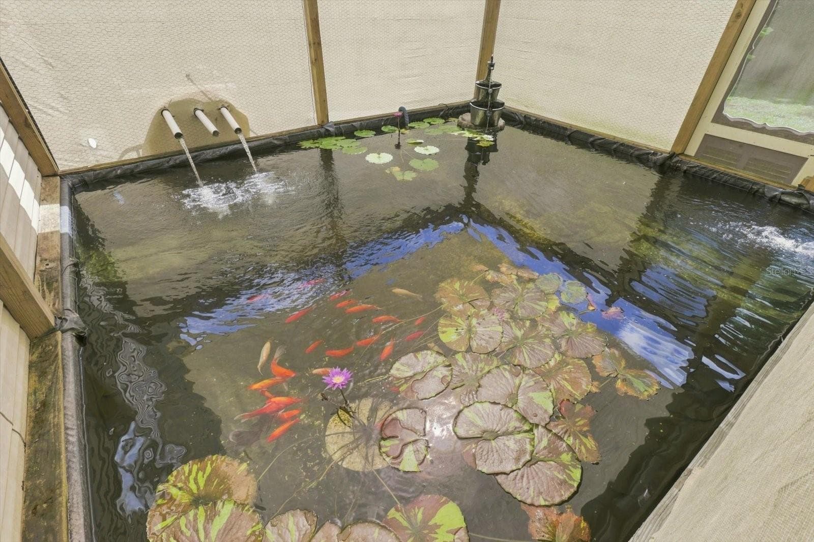 Koi pond! - 3390 SE 146TH LN, SUMMERFIELD
