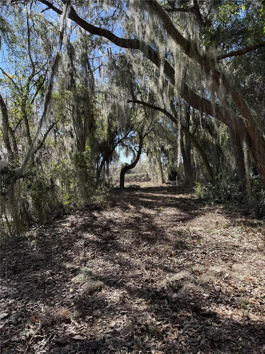 Land at OCKLAWAHA DR, LEESBURG, photo 2 of 8