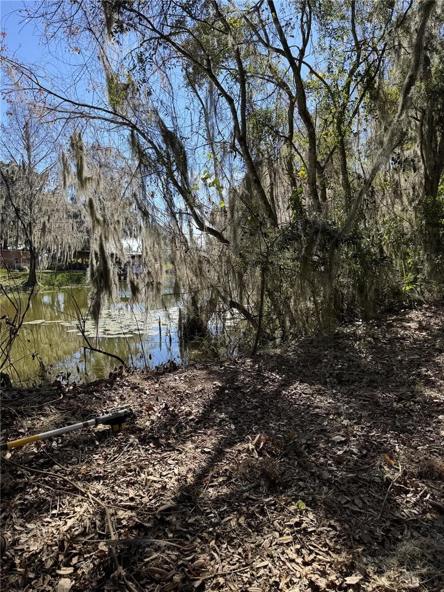 Land at OCKLAWAHA DR, LEESBURG, photo 3 of 8