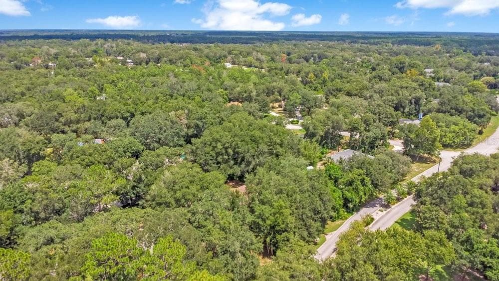 Single Family Residence at 288 CROOKED TREE TRL, DELAND, photo 33 of 36