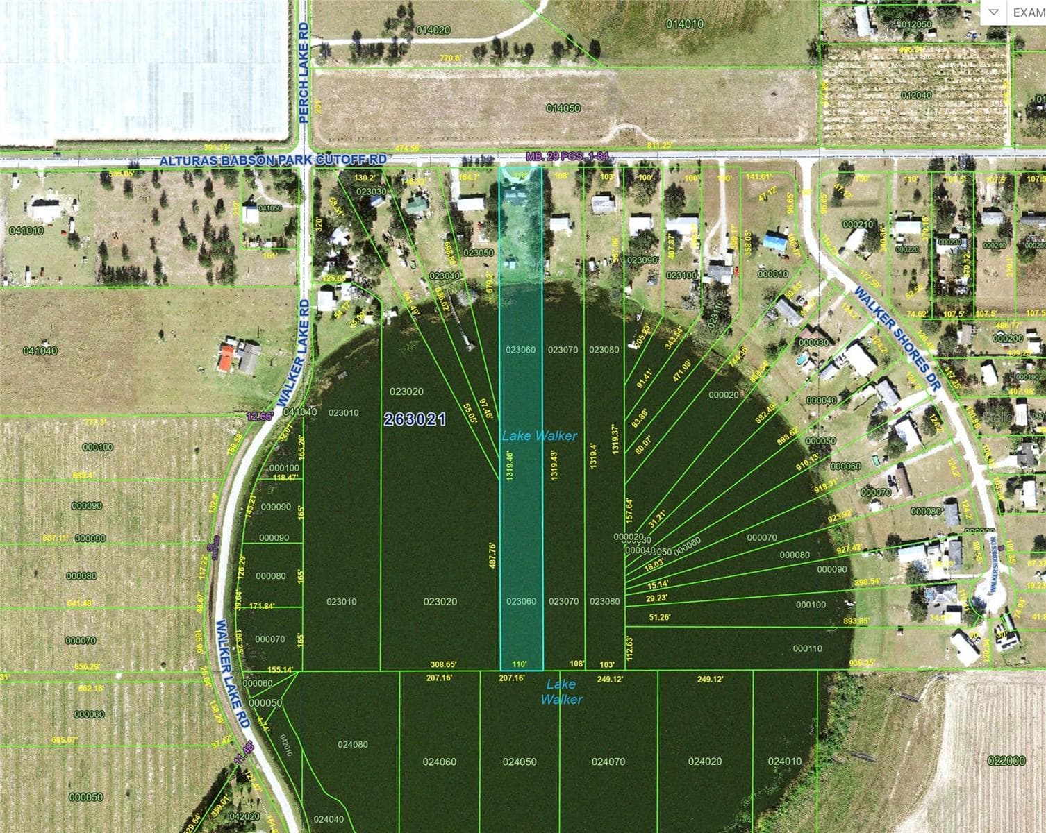 Polk PA aerial map showing property lines down into lake - 8045 ALTURAS BABSON PARK CUTOFF RD, BARTOW