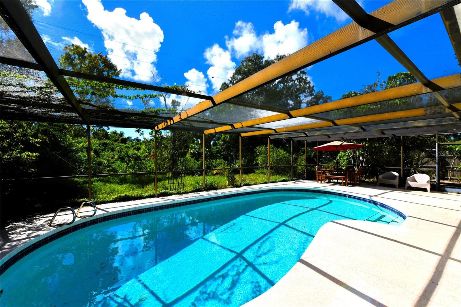 Pool views during a sunny day. - 2529 INDIGO DR, DUNEDIN