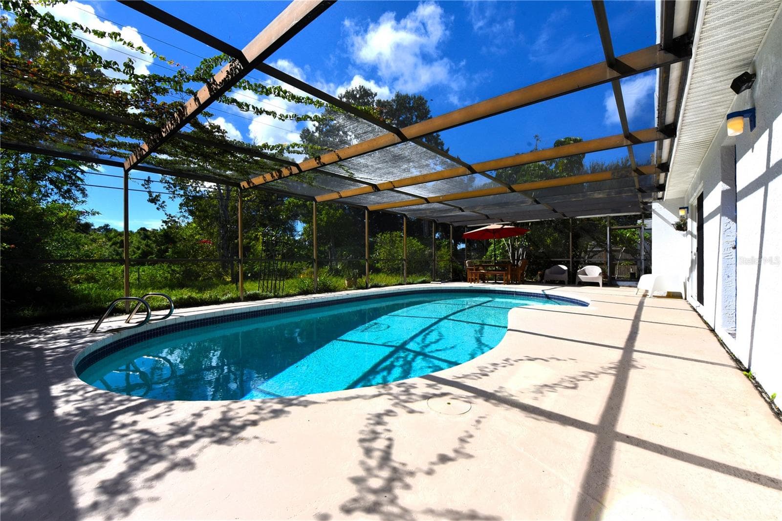 Amazing views of the backyard from the pool. - 2529 INDIGO DR, DUNEDIN
