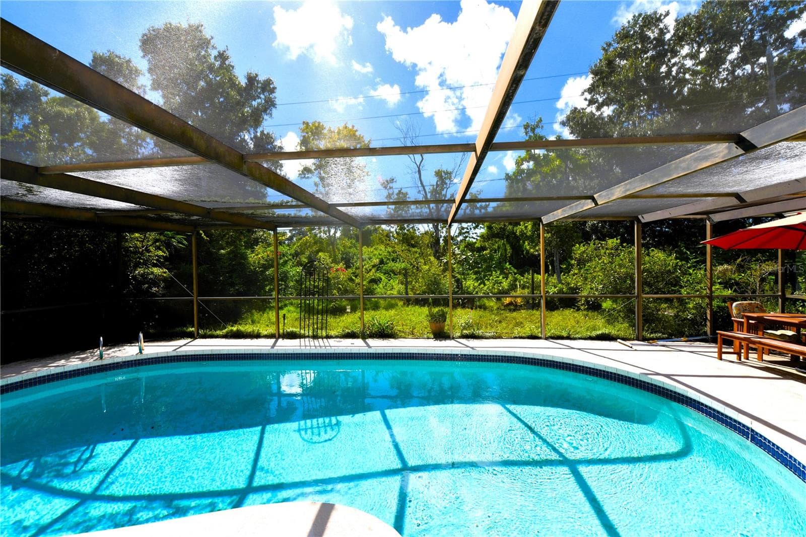 Caged pool. - 2529 INDIGO DR, DUNEDIN