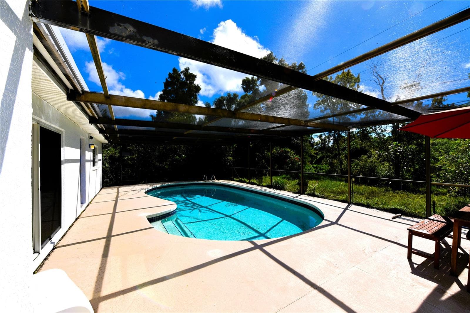 Another view of the pool. - 2529 INDIGO DR, DUNEDIN