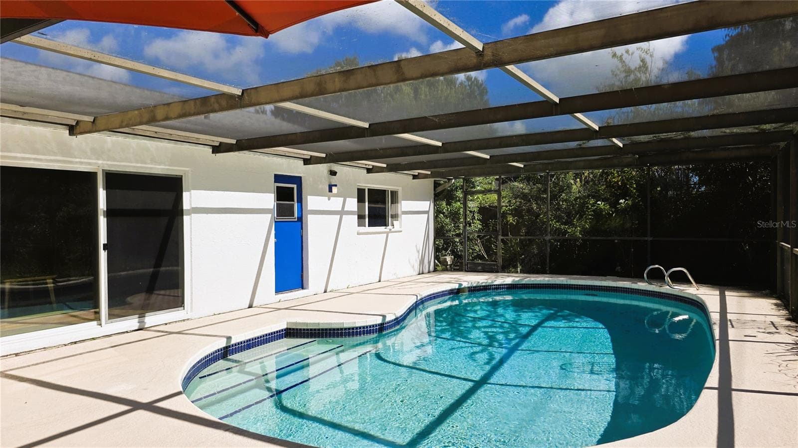 Pool. - 2529 INDIGO DR, DUNEDIN