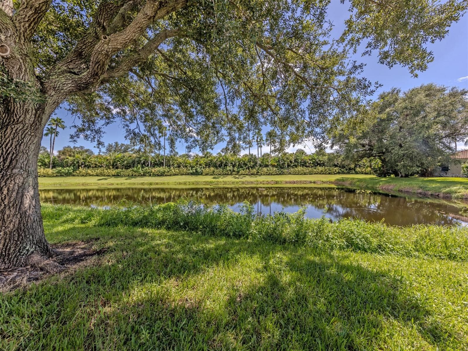 Single Family Residence at 321 WILD PINE WAY, VENICE, photo 6 of 65