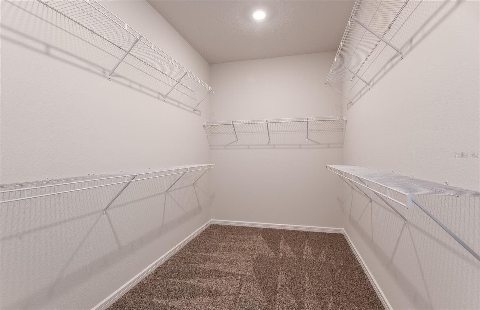 Model Representation - 37310 CLINCH CIR, ZEPHYRHILLS