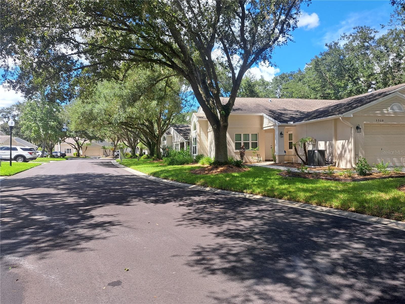Quiet and this year renewed cul-de-sac street in this only community - 5316 LOCHMEAD TER, ZEPHYRHILLS