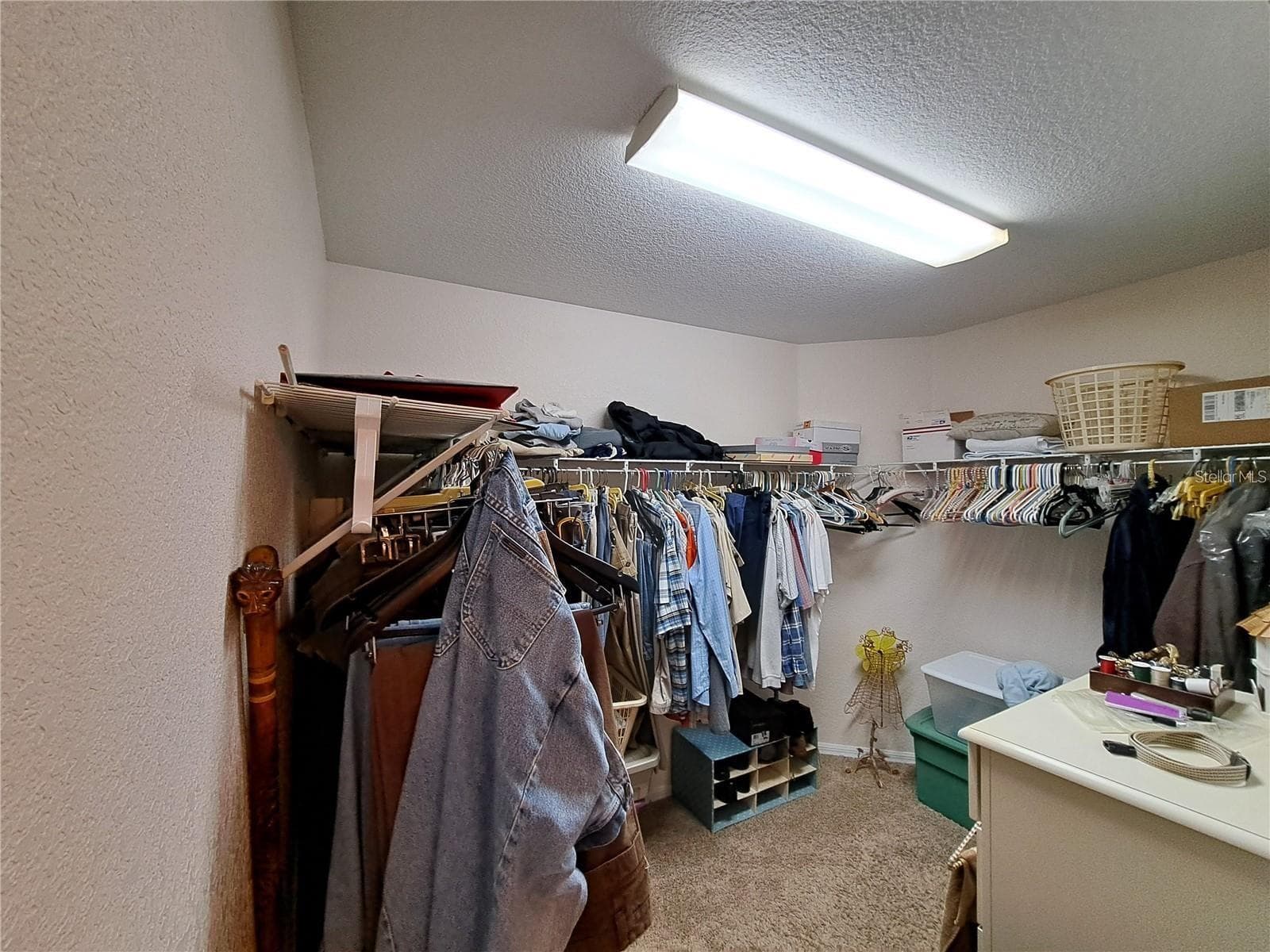 master closet - 5316 LOCHMEAD TER, ZEPHYRHILLS